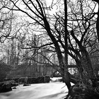 copernicus - october 2025 deephouse by copernicus