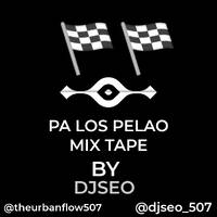 PA LOS PELAO MIXTAPE BY -DJSEO_507.mp3 by @theurbanflow507