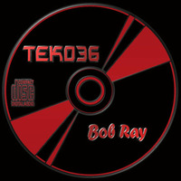 TEK036 by Bob Ray