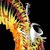 Lady Tracy - Eddy Playground by Eddy Breaks