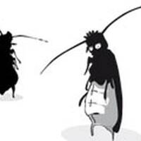 Herbst Buschkakerlake01 by T.I.A.N aka Dj-Herbst