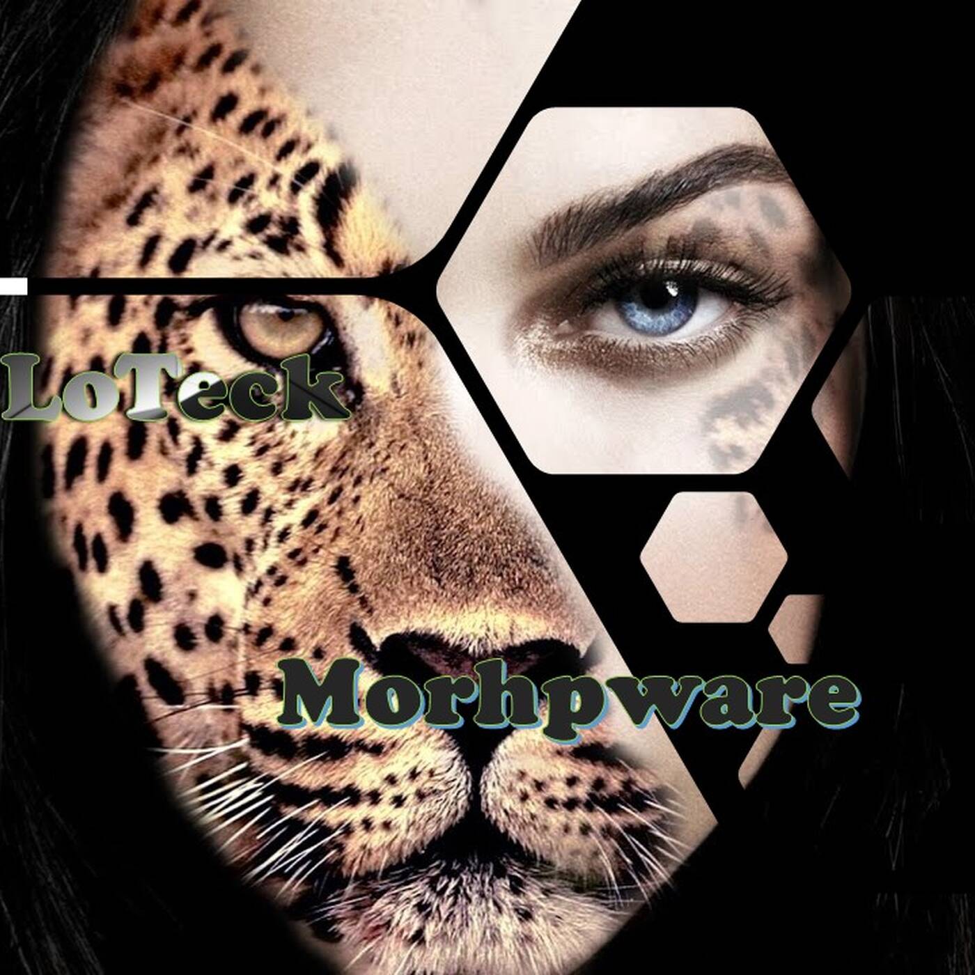 Morphware(Original Mix) episode artwork