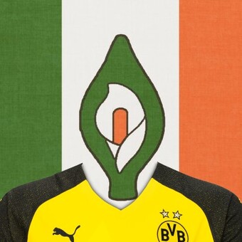 Bvbscholle Scholz