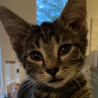 Toft Grabowski Karen