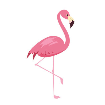 Pink Flamingo