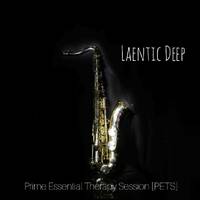Laentic-Deep-SA_Sometin' About You_[-Original Mix by Laentic Deep SA