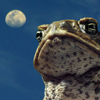 il mito della caverna #234 / december 17, 2023 by dj fuco