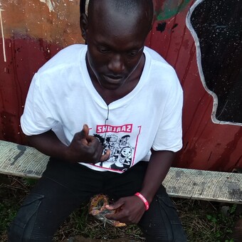 Stupidity Ke🇧🇴☺️🥰.