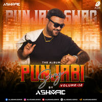 Punjabi Swag Vol. 12 - DJ Ashmac