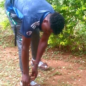 Amelo Junior