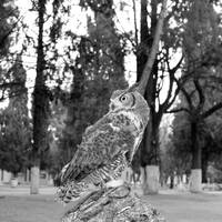 37 de 88 En la verde pradera (Fantasmas) by Elko Omar Vazquez Erosa