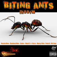 Biting Ants Riddim Mix by Wayne Sensi by Django Sound