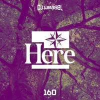 DJ Weasel Presents Here #160 by nweasel