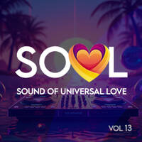 SOUL Vol 13 by The Jazz