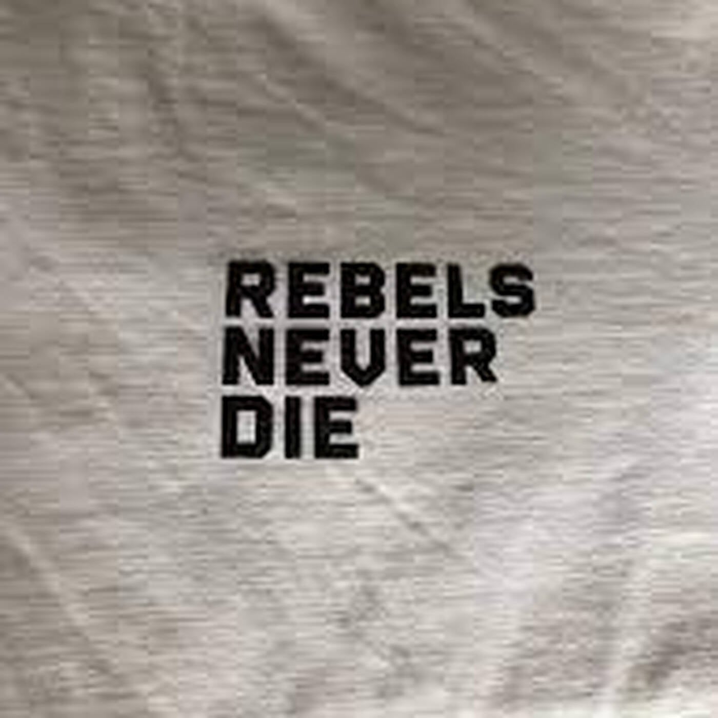 NEVER DIE episode artwork