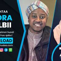 RNH 758, October 23, 2022 Soora Qalbii by NHStudio