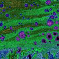 Dubtronix by Hugh Def