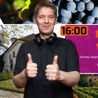 Vinobraní Roudnice nad Labem 6.9.2025 Alternativní Scéna u Galerie by DJ Marky P