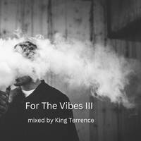 For The Vibes 3 by King Terrence