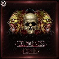 DZR620 : FeelMadness - Resoplido (Original Mix) by Dizzines Records