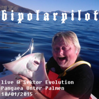 Bipolarpilot @ Sektor Evolution 10/01/2015 (140bpm) by DJ Danger Hunt
