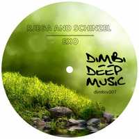 [DIMBIV007] Rjega &amp; Schinzel - Exo EP 12 by MFSound / DPR Audio