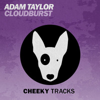 Adam Taylor - Cloudburst - OUT NOW by Cheeky Tracks