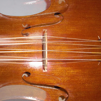 cello, masqerading (disquiet0227) by sevenism