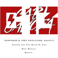 GAWTBASS &amp; TROY KATE,FLAXO, CALLE13 - Cuando Los Pies Besan El Piso ( Gabi Oancea Mashup) by Gabi Oancea