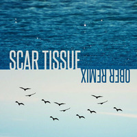 Scar Tissue (Ober Remix) by Ober