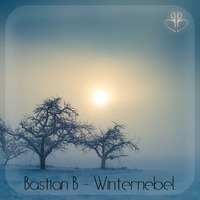 Bastian B - Winternebel by Bastian Baeuml
