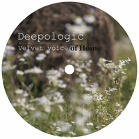 Deepologic - Velvet voice of house by Deepologic