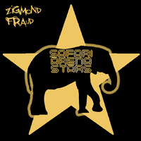 Safari Arena Stars by zigmond fraud