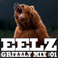 EELZ - GRIZZLY MIX 01 (Multi Genre Mix) by Grizzly Beats