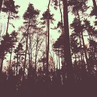 Jozsef &amp; Mo Greens - Exclusive Nightflight Guest Mix - 17.11.14 by Tobias Koch - Nightflight - Radio FRITZ