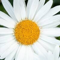 Laid Back, Soulful &amp; Funky Chill Out Set No 819 26 10 2025 by Fluid Dynamic