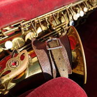 Nearness BA alto Francois Louis by Hermit