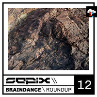 Braindance Roundup Twelve by Sepix