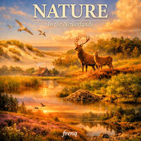 Nature by frenq