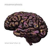 What Now? (Part 2) by Mixamorphosis