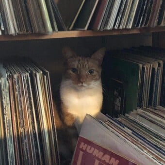 DreadDisco