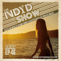 The NDYD Radio Show EP46 by Ricardo Torres |NDYD