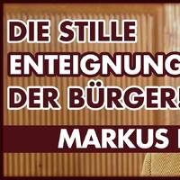 Markus Krall: Die Enteignung der Bürger, Bankenkrise! by NuoFlix
