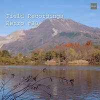 Field Recordings | Retro #30 by PG3A