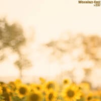 WiscoJazz-Cast: Episode 237 [DOWNTEMPO] by lukewarm
