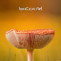 Kemmi Kamachi # 521 by Kemmi Kamachi