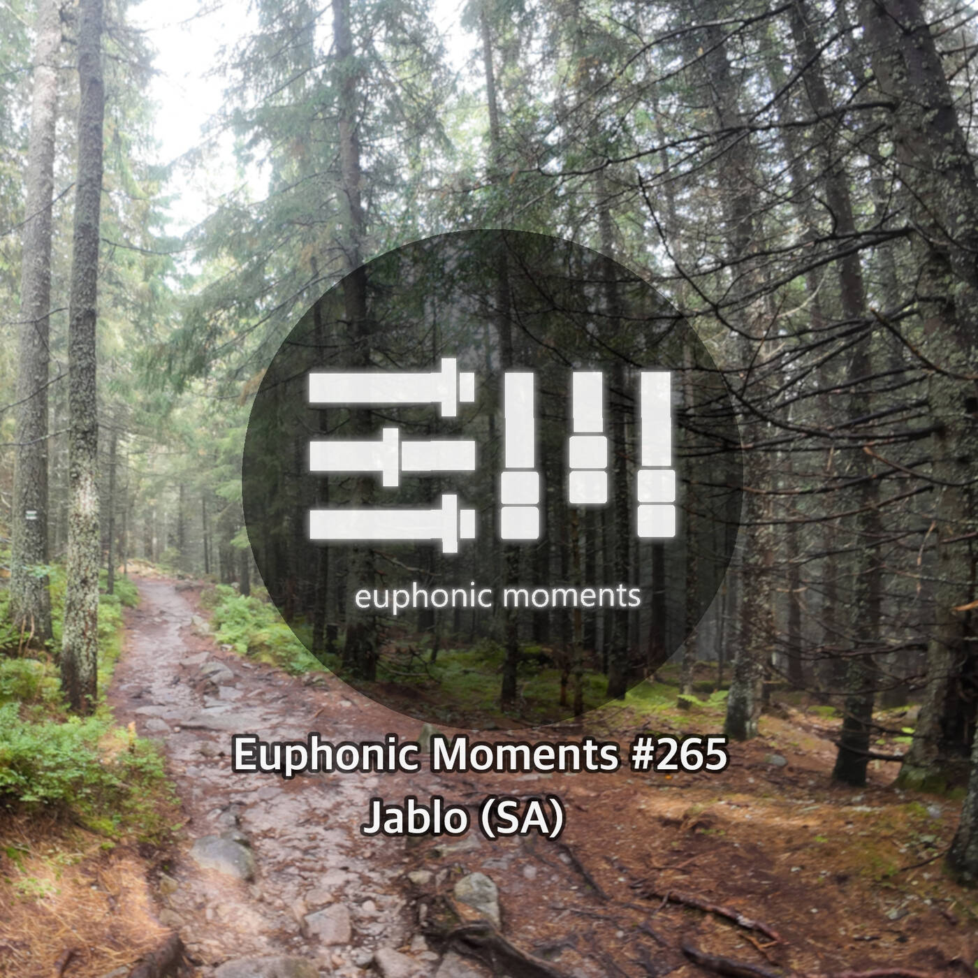 Euphonic Moments # 265 Jablo (SA) episode artwork