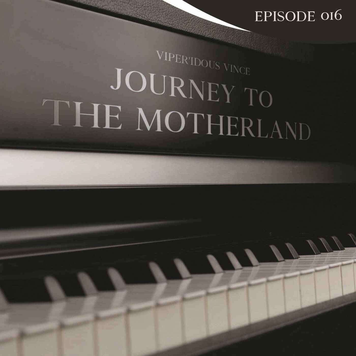 Journey to The Motherland Episode 016 mixed by ViperIdous episode artwork