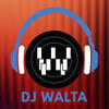 Dj walta 256