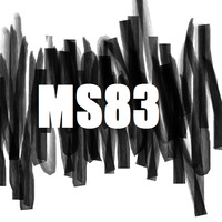 MS83-AMBIENT